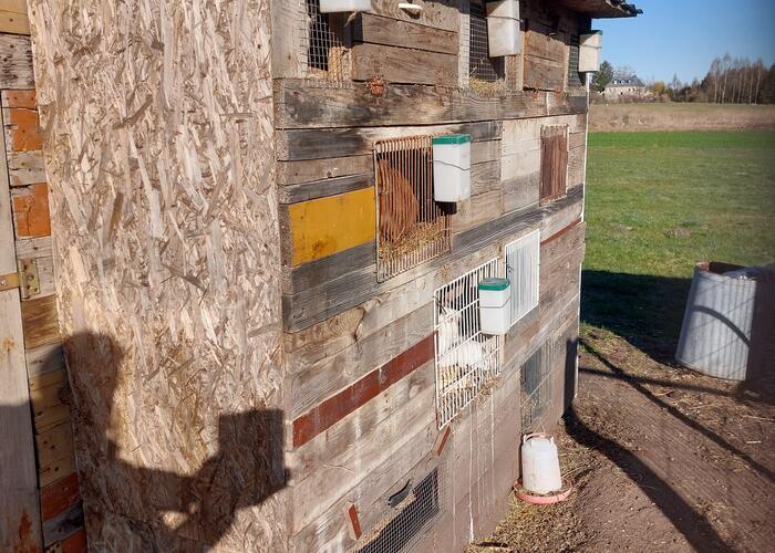 Grajewo ogłoszenia: Sprzedam 9 komorową klatkę dla królików. Klatka dostępna w...